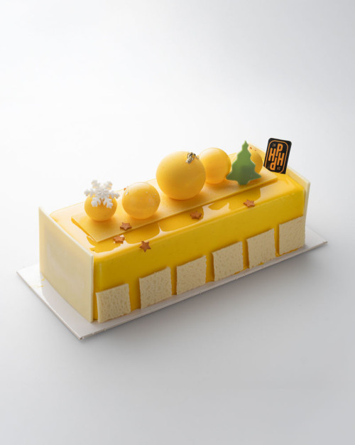 Bûche - MARACUJA - 4 parts