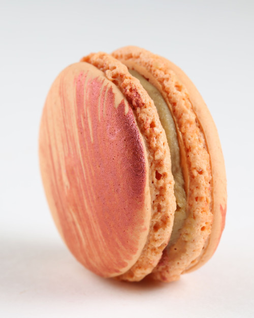 Macaron foie gras fleur de sel